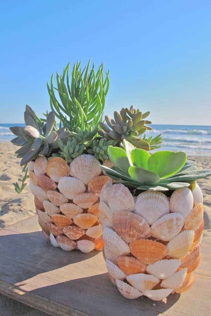 1-Seashell-Planter-684x1024