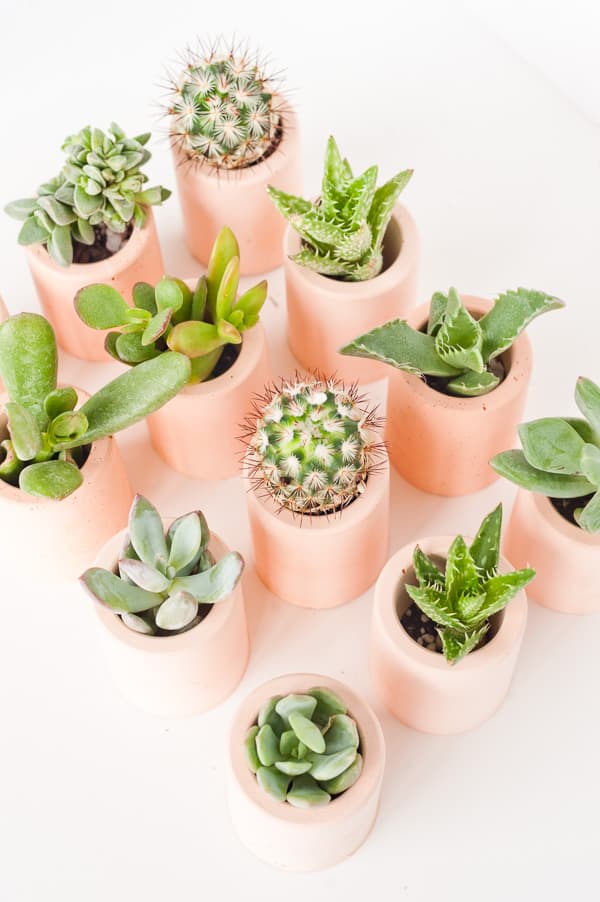 15-Colorful-Mini-Plaster-Planters