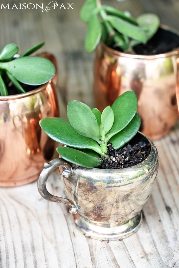 16-Upcycled-Mug-Planters