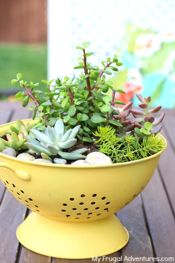 19-Colander-Planter