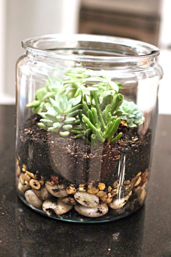 20 Unique & Fun DIY Succulent Planters