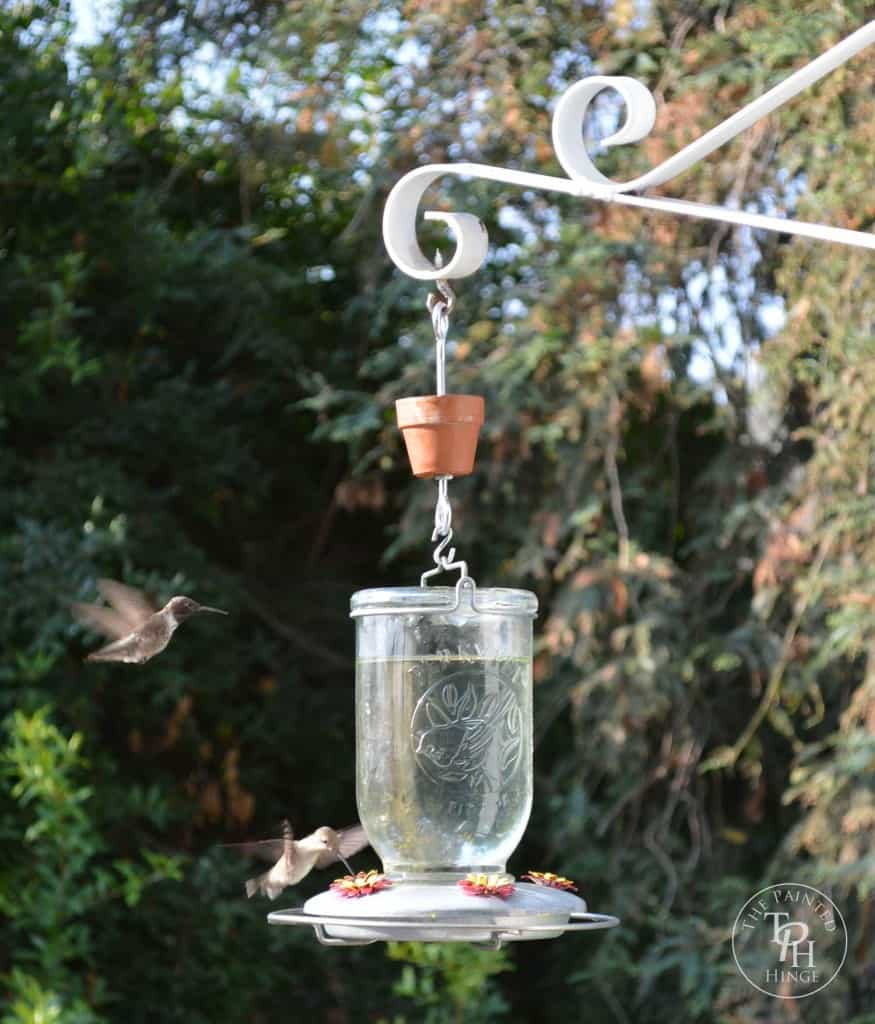 Hummingbird Feeder with Ant Moat