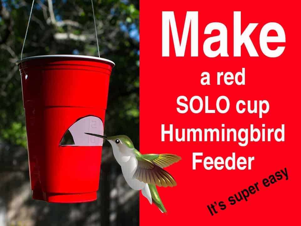 Red Solo Cup Feeder