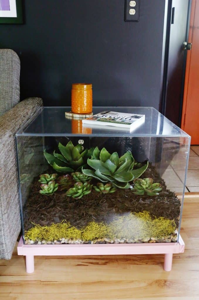 Terrarium Style Side Table