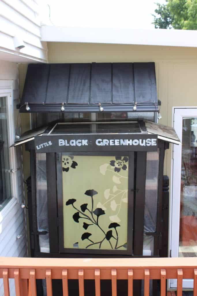Unique But Functional Greenhouse