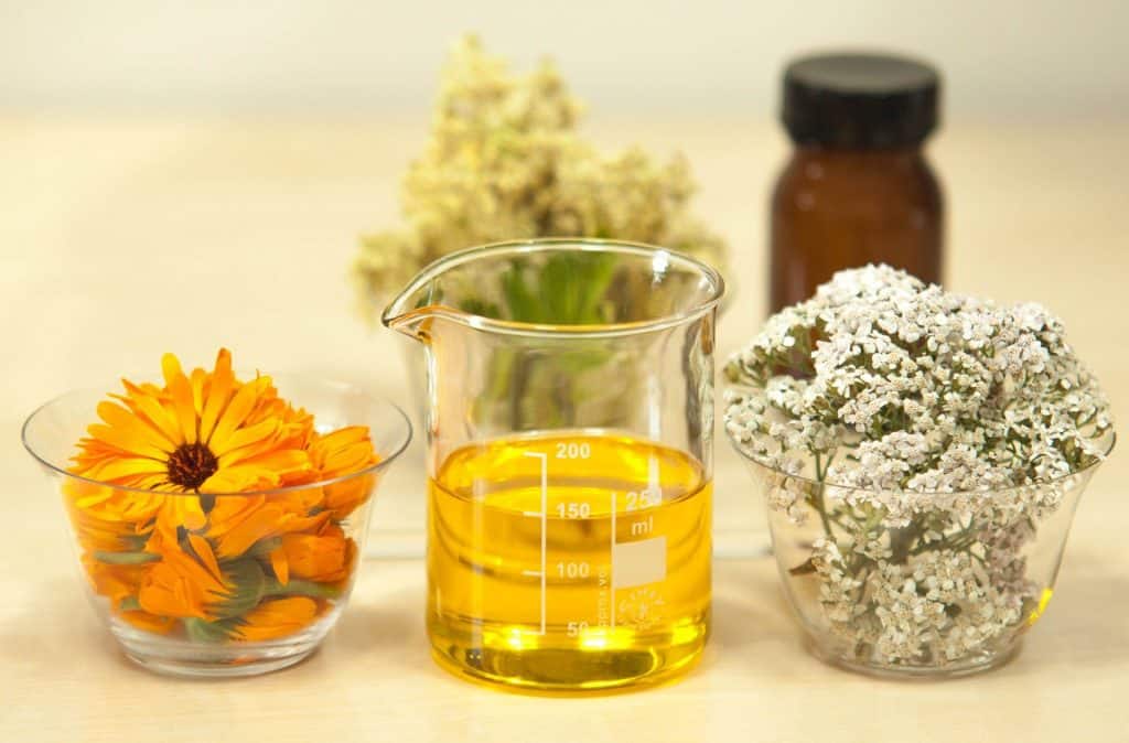 Ylang-Ylang, Aloe, And Essential Oils Conditioner