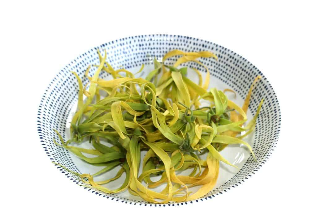 Ylang-Ylang Anti-Breakage Formula