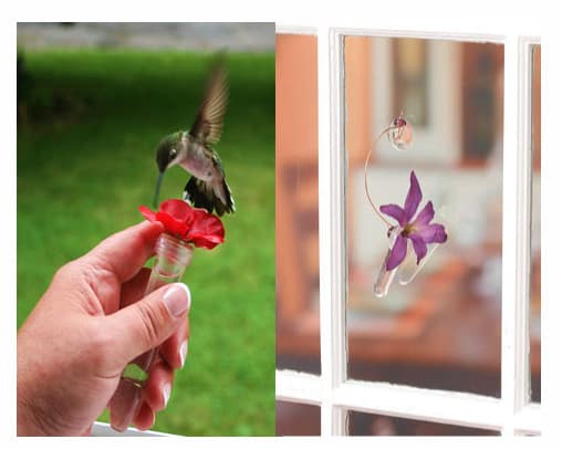 Tiny Hand-Held Window Feeder