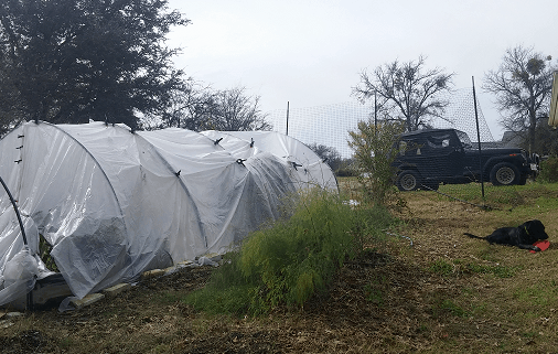 One-Day Greenhouse