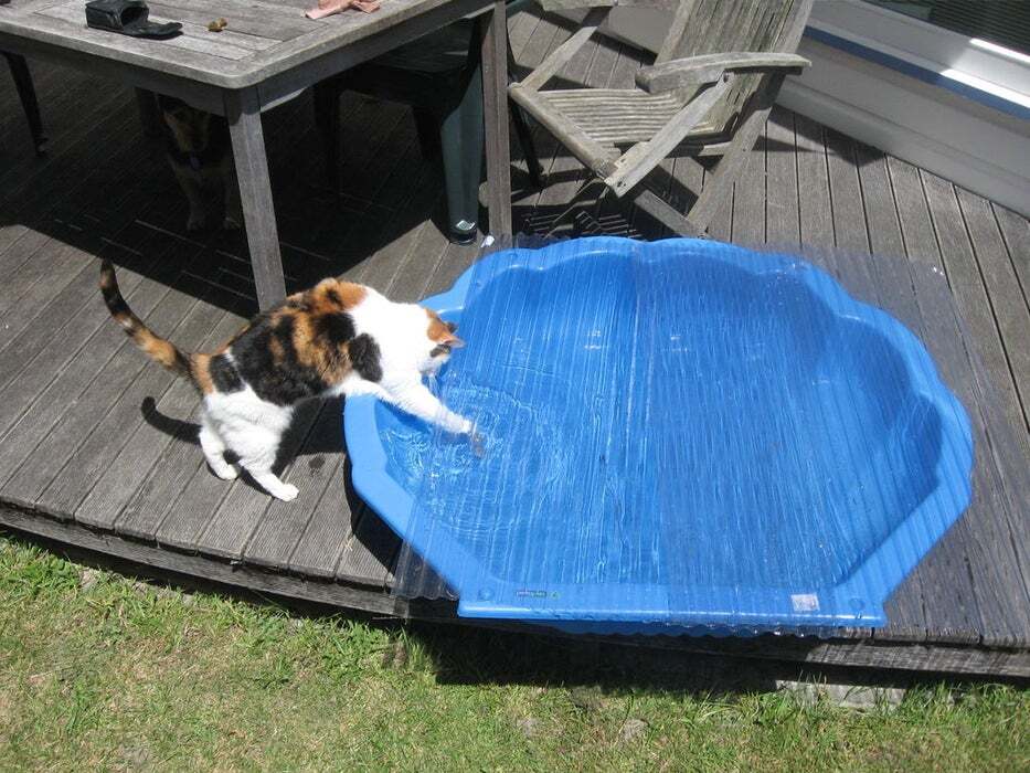 <strong>Rubber Duckie Kiddie Pool Solar Heater</strong>