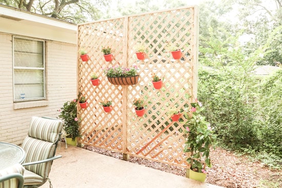 Up the Lattice with Some Hanging Pots