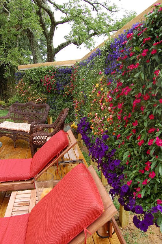 Turn Your Privacy Wall Into a Full on Garden