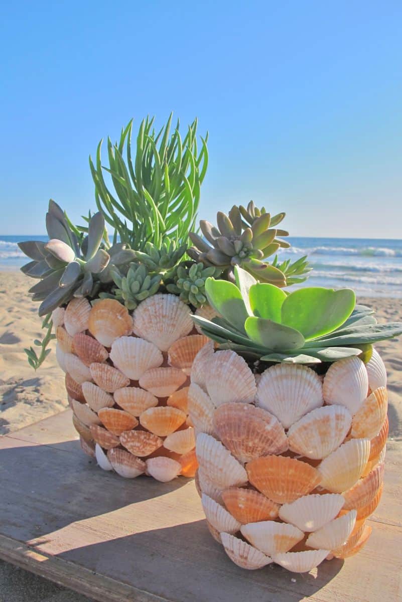 Simple Shell Planter